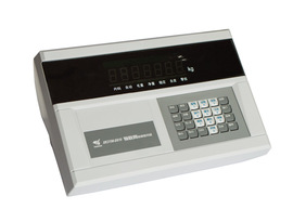DS10数字式仪表
